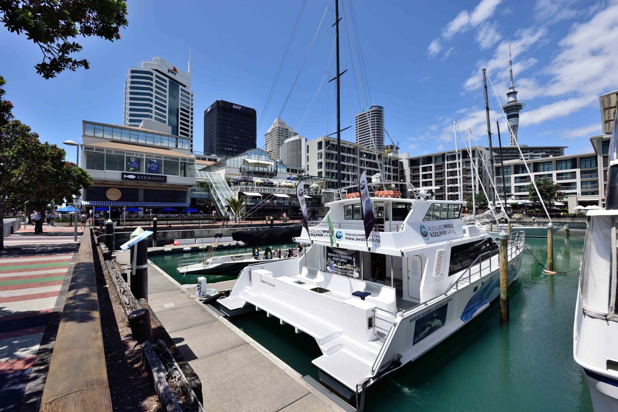 Furnished Apartment In Auckland Cbd Экстерьер фото
